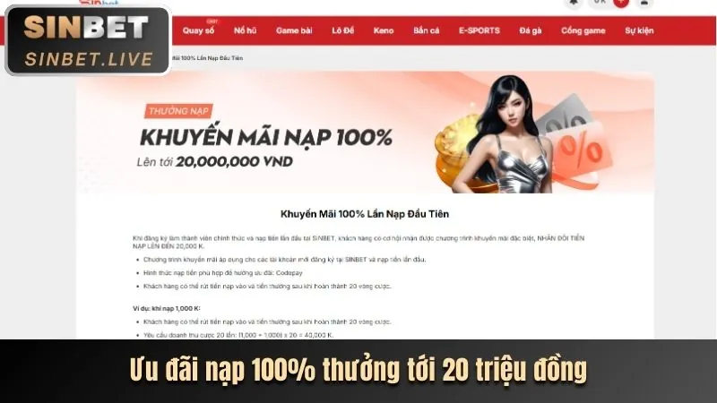 Biểu ngữ khuyến mãi và ưu đãi dành cho thành viên vff88 win